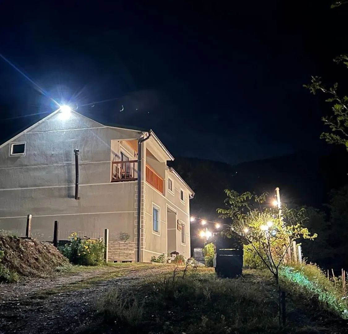 Te Baca Qerim Appartement Lekbibaj Albanië