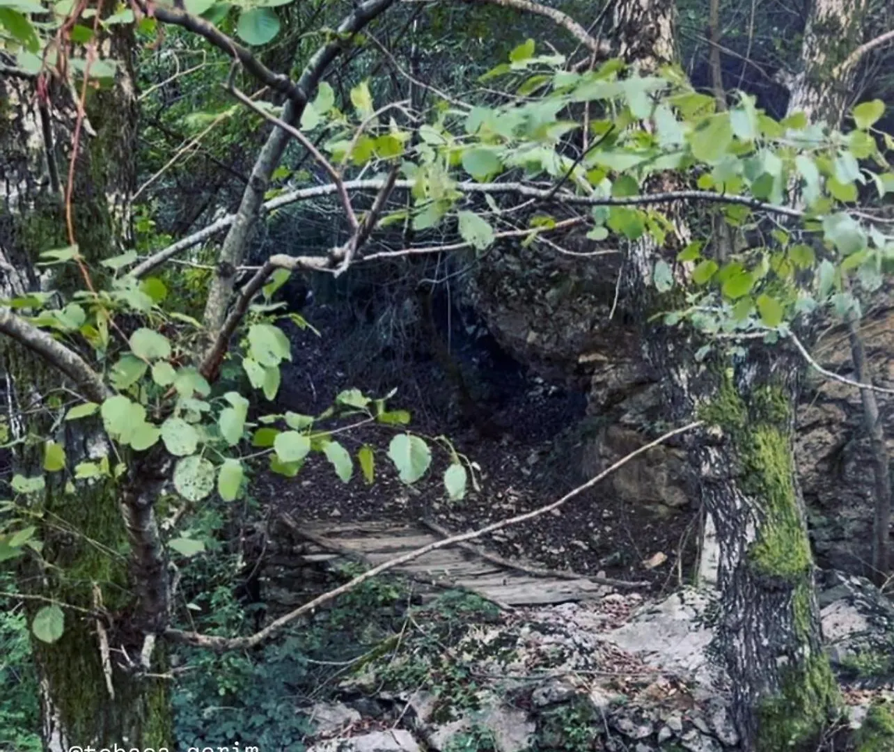 Appartement Te Baca Qerim à Lekbibaj